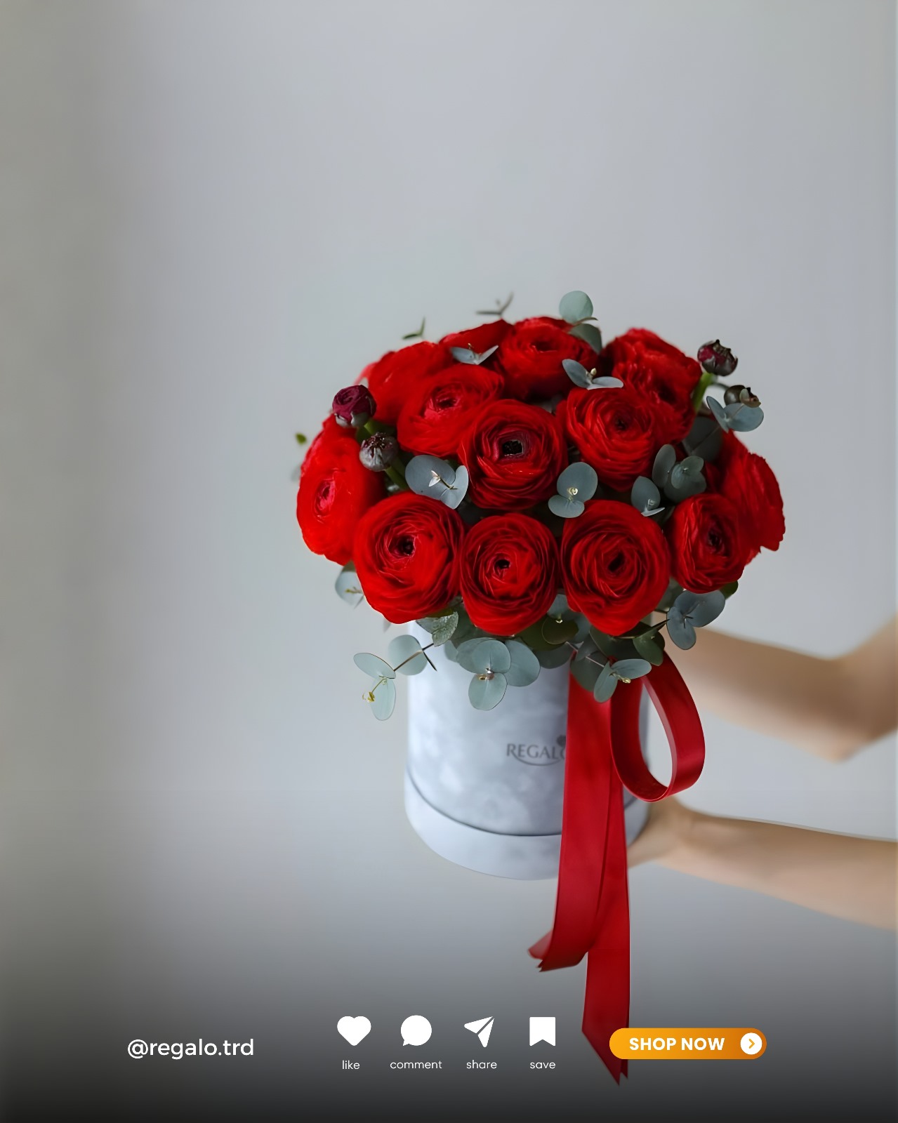 WhatsApp Image 2025-11-19 at 14.29.16_4757e9c8